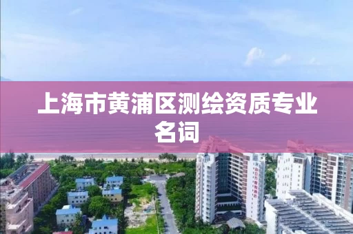 上海市黄浦区测绘资质专业名词