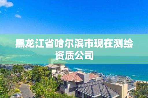 黑龙江省哈尔滨市现在测绘资质公司