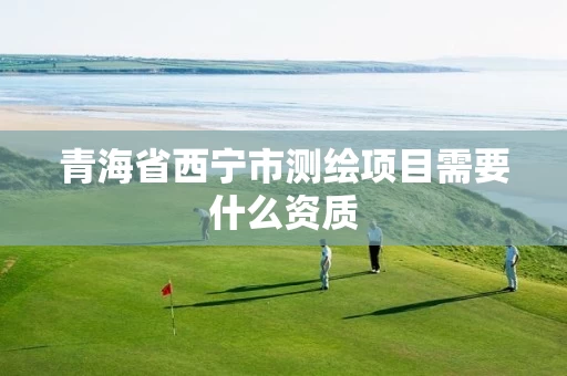青海省西宁市测绘项目需要什么资质
