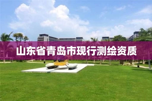 山东省青岛市现行测绘资质