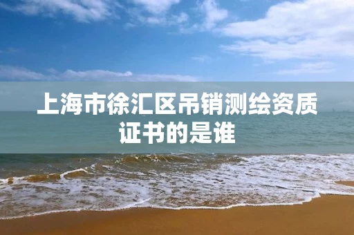 上海市徐汇区吊销测绘资质证书的是谁