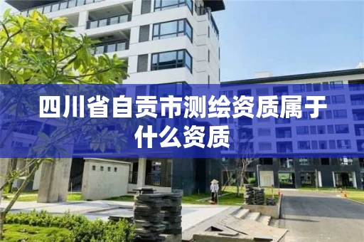 四川省自贡市测绘资质属于什么资质
