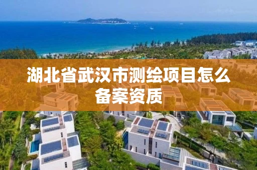 湖北省武汉市测绘项目怎么备案资质