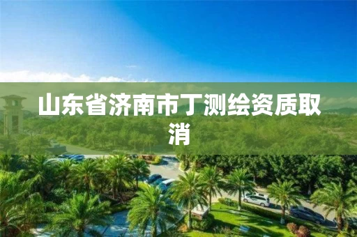 山东省济南市丁测绘资质取消