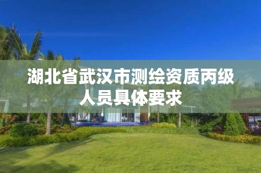 湖北省武汉市测绘资质丙级人员具体要求