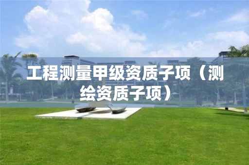 工程测量甲级资质子项（测绘资质子项）
