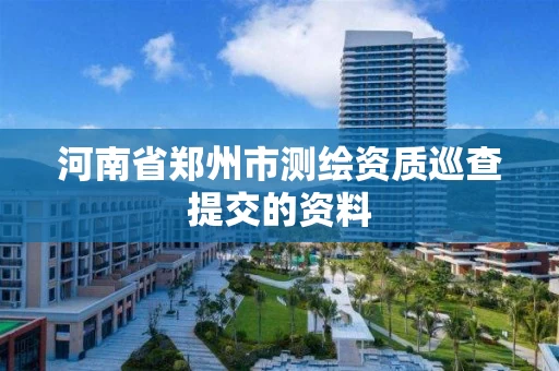 河南省郑州市测绘资质巡查提交的资料