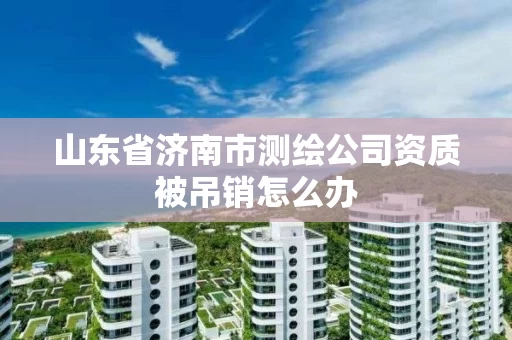 山东省济南市测绘公司资质被吊销怎么办 山东省济南市测绘公司资质被吊销怎么办