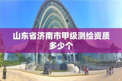 山东省济南市甲级测绘资质多少个 山东省济南市甲级测绘资质多少个