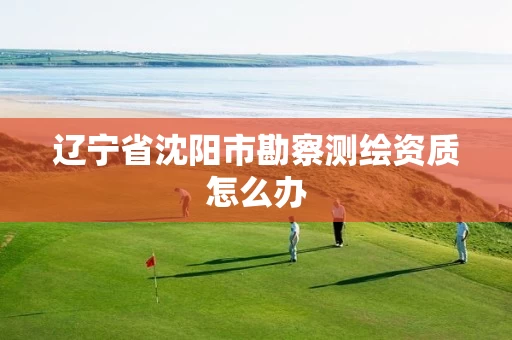 辽宁省沈阳市勘察测绘资质怎么办