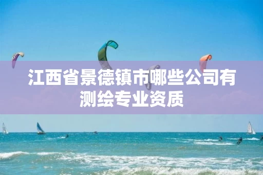 江西省景德镇市哪些公司有测绘专业资质