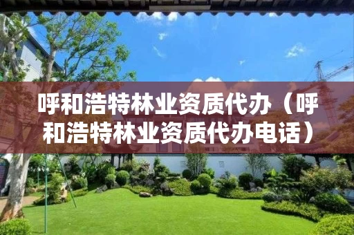 呼和浩特代办电话）