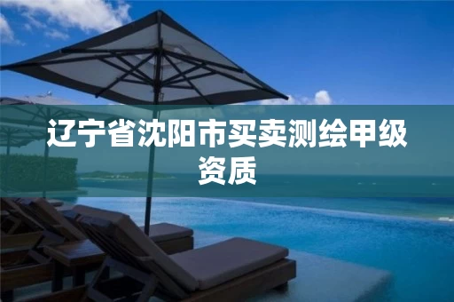 辽宁省沈阳市买卖测绘甲级资质