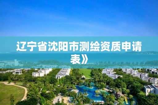 辽宁省沈阳市测绘资质申请表》