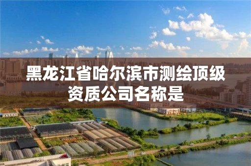 黑龙江省哈尔滨市测绘顶级资质公司名称是