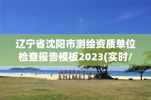辽宁省沈阳市测绘资质单位检查报告模板2023(实时/更新中)