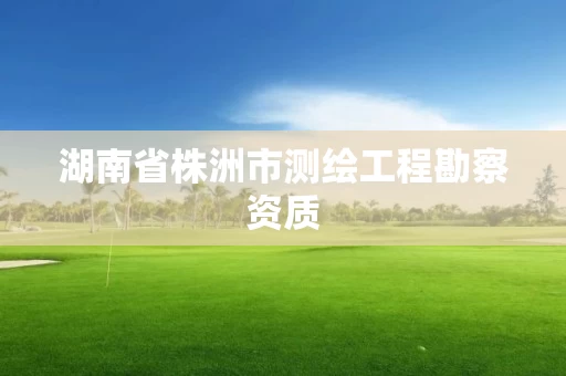 湖南省株洲市测绘工程勘察资质