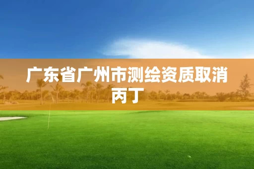 广东省广州市测绘资质取消丙丁