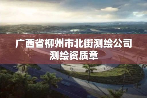 广西省柳州市北街测绘公司测绘资质章