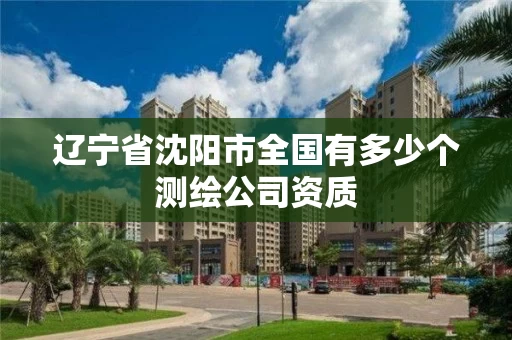 辽宁省沈阳市全国有多少个测绘公司资质 辽宁省沈阳市全国有多少个测绘公司资质