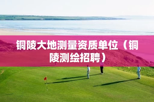 铜陵大地测量资质单位（铜陵测绘招聘）