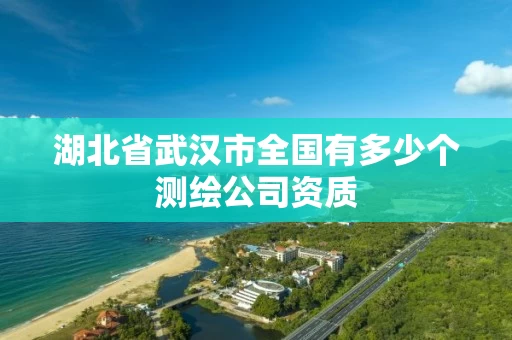 湖北省武汉市全国有多少个测绘公司资质