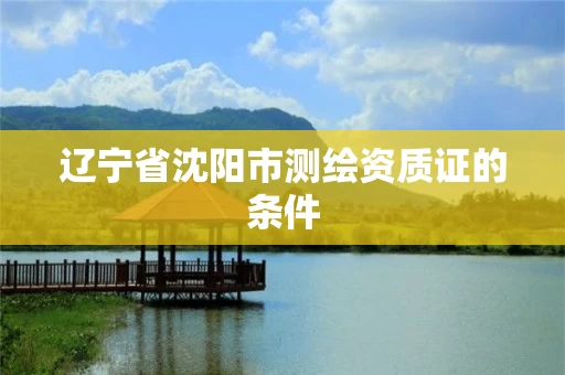 辽宁省沈阳市测绘资质证的条件