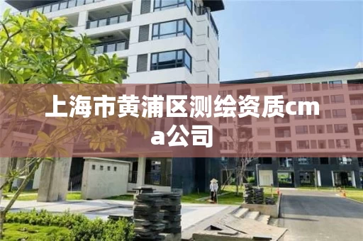 上海市黄浦区测绘资质cma公司