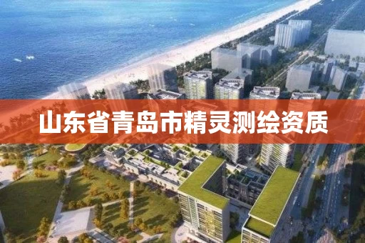 山东省青岛市精灵测绘资质
