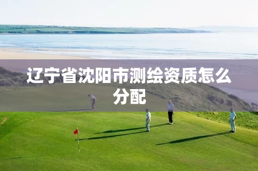 辽宁省沈阳市测绘资质怎么分配