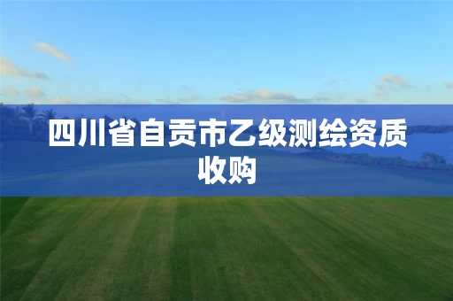 四川省自贡市乙级测绘资质收购 四川省自贡市乙级测绘资质收购