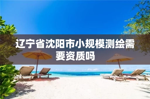 辽宁省沈阳市小规模测绘需要资质吗