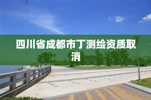 四川省成都市丁测绘资质取消