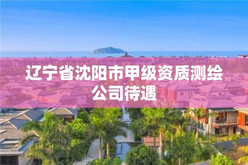 辽宁省沈阳市甲级资质测绘公司待遇