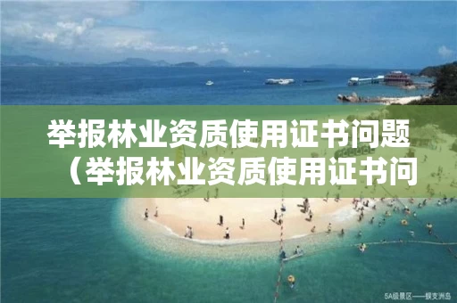 举报使用证书问题怎么写）