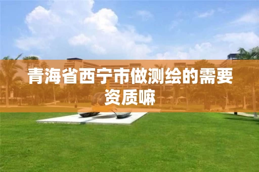 青海省西宁市做测绘的需要资质嘛