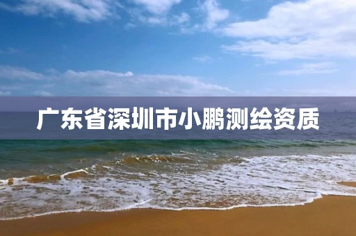 广东省深圳市小鹏测绘资质