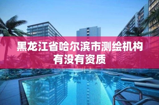 黑龙江省哈尔滨市测绘机构有没有资质
