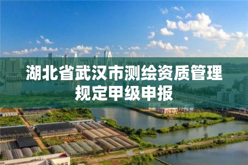 湖北省武汉市测绘资质管理规定甲级申报