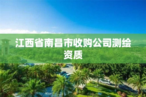 江西省南昌市收购公司测绘资质