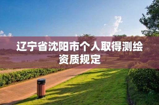 辽宁省沈阳市个人取得测绘资质规定