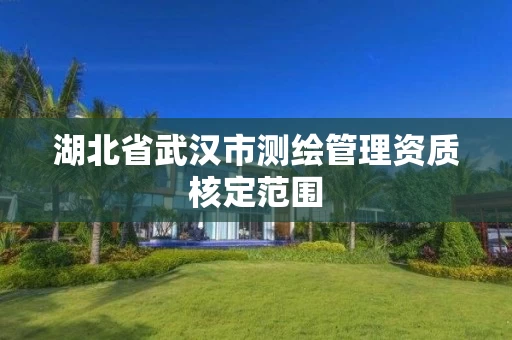 湖北省武汉市测绘管理资质核定范围 湖北省武汉市测绘管理资质核定范围