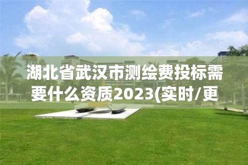 湖北省武汉市测绘费投标需要什么资质2023(实时/更新中)