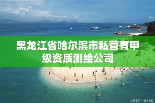 黑龙江省哈尔滨市私营有甲级资质测绘公司