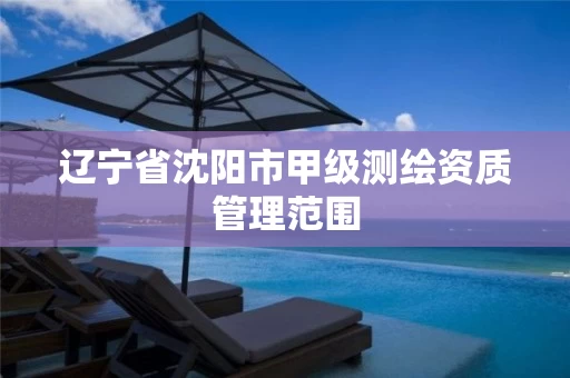 辽宁省沈阳市甲级测绘资质管理范围