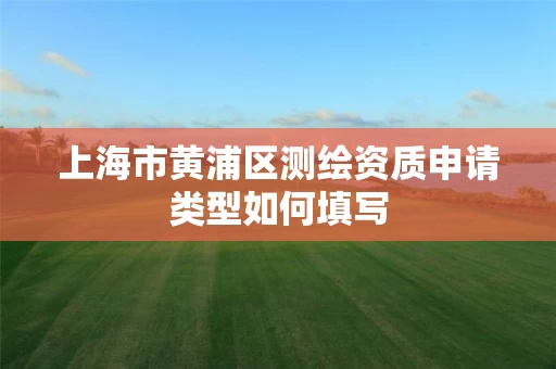 上海市黄浦区测绘资质申请类型如何填写