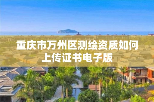 重庆市万州区测绘资质如何上传证书电子版
