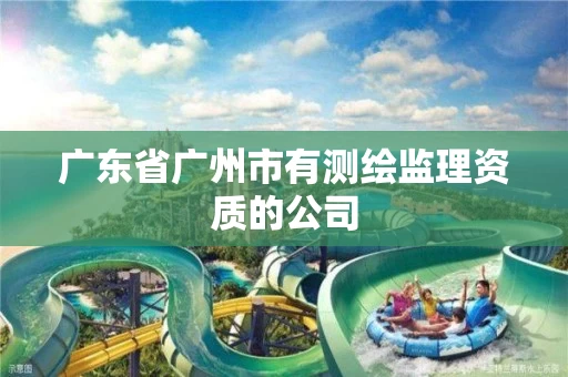 广东省广州市有测绘监理资质的公司