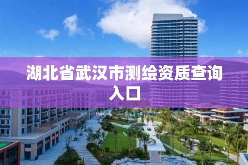 湖北省武汉市测绘资质查询入口