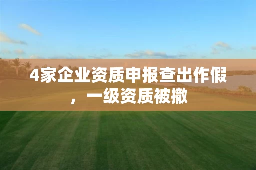 4家企业资质申报查出作假，一级资质被撤